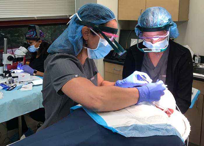 Hair Transplant for Women
